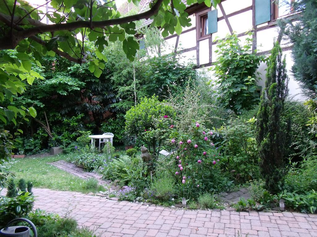 Studio La Grenouillere テュルクアイム 部屋 写真