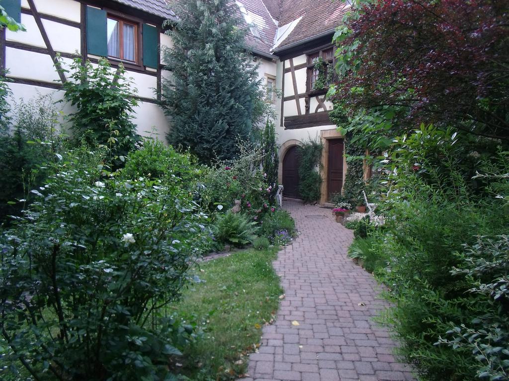 Studio La Grenouillere テュルクアイム 部屋 写真