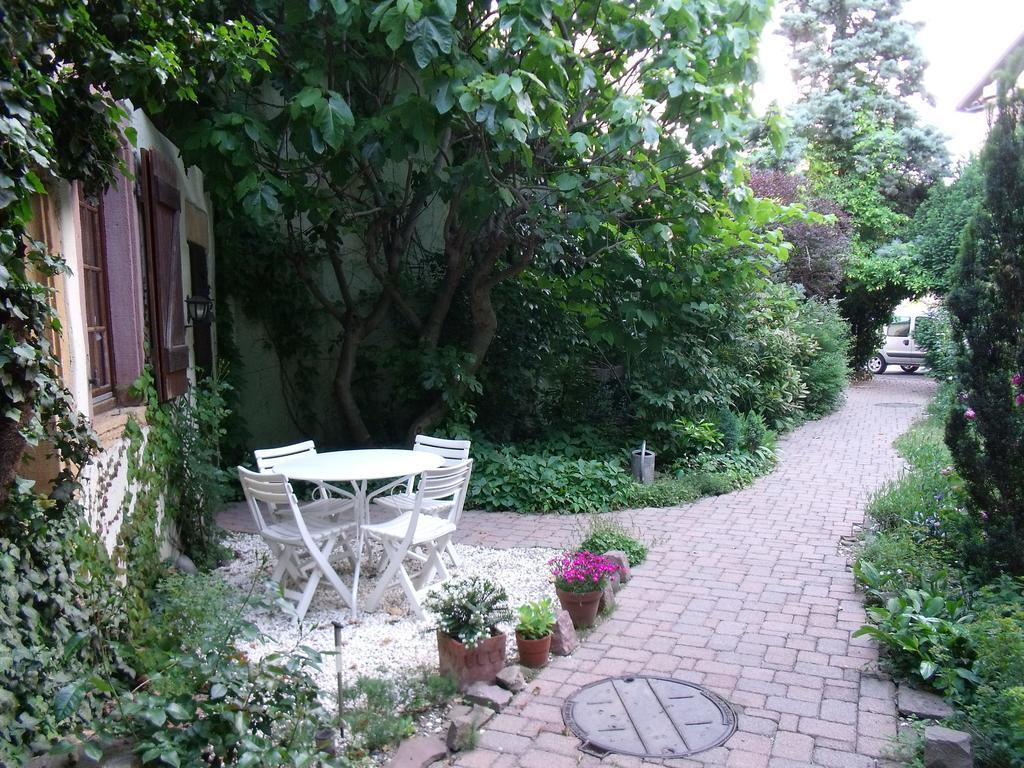 Studio La Grenouillere テュルクアイム 部屋 写真